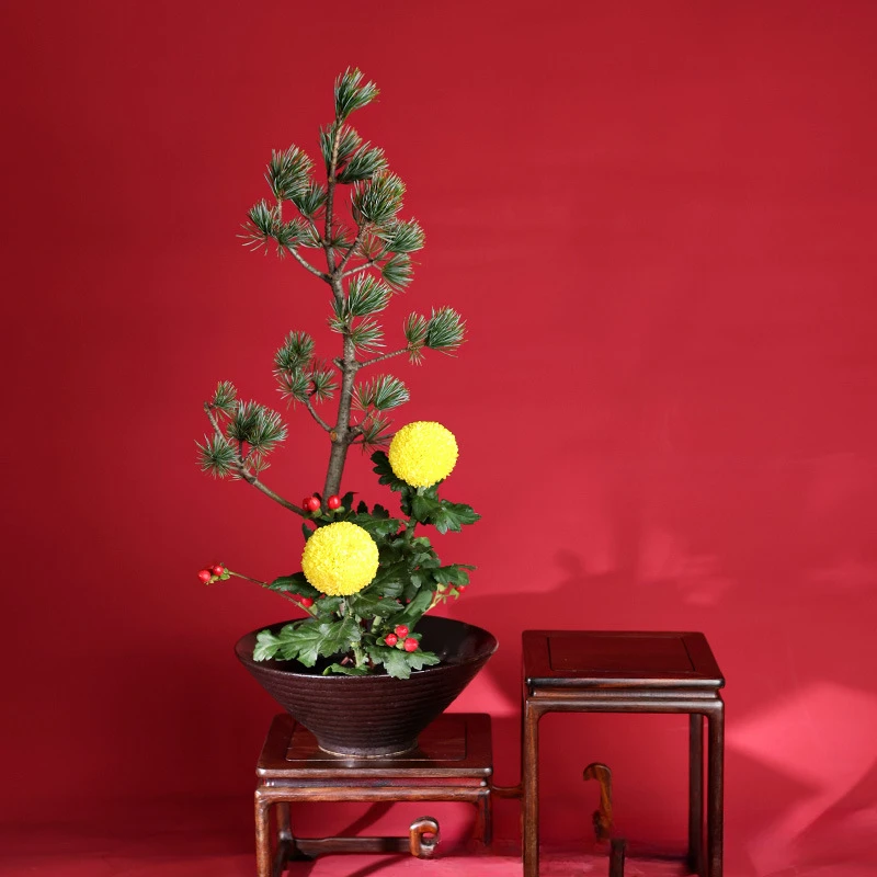 Vaso di rana giapponese Bouque - Ikebana Vase Kenzan recensione e prezzo