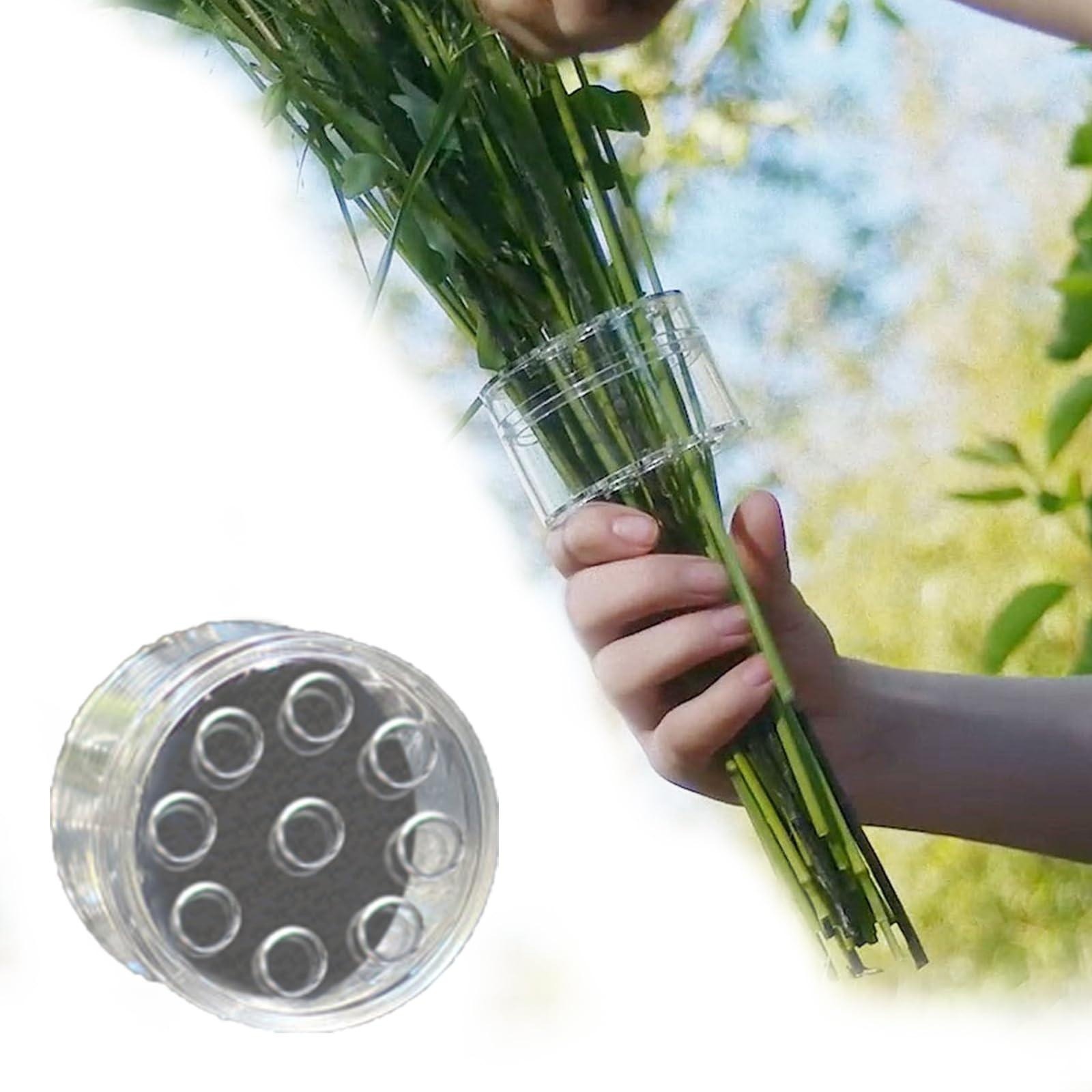 Supporto a spirale per steli I - Ikebana Vase Kenzan recensione e prezzo