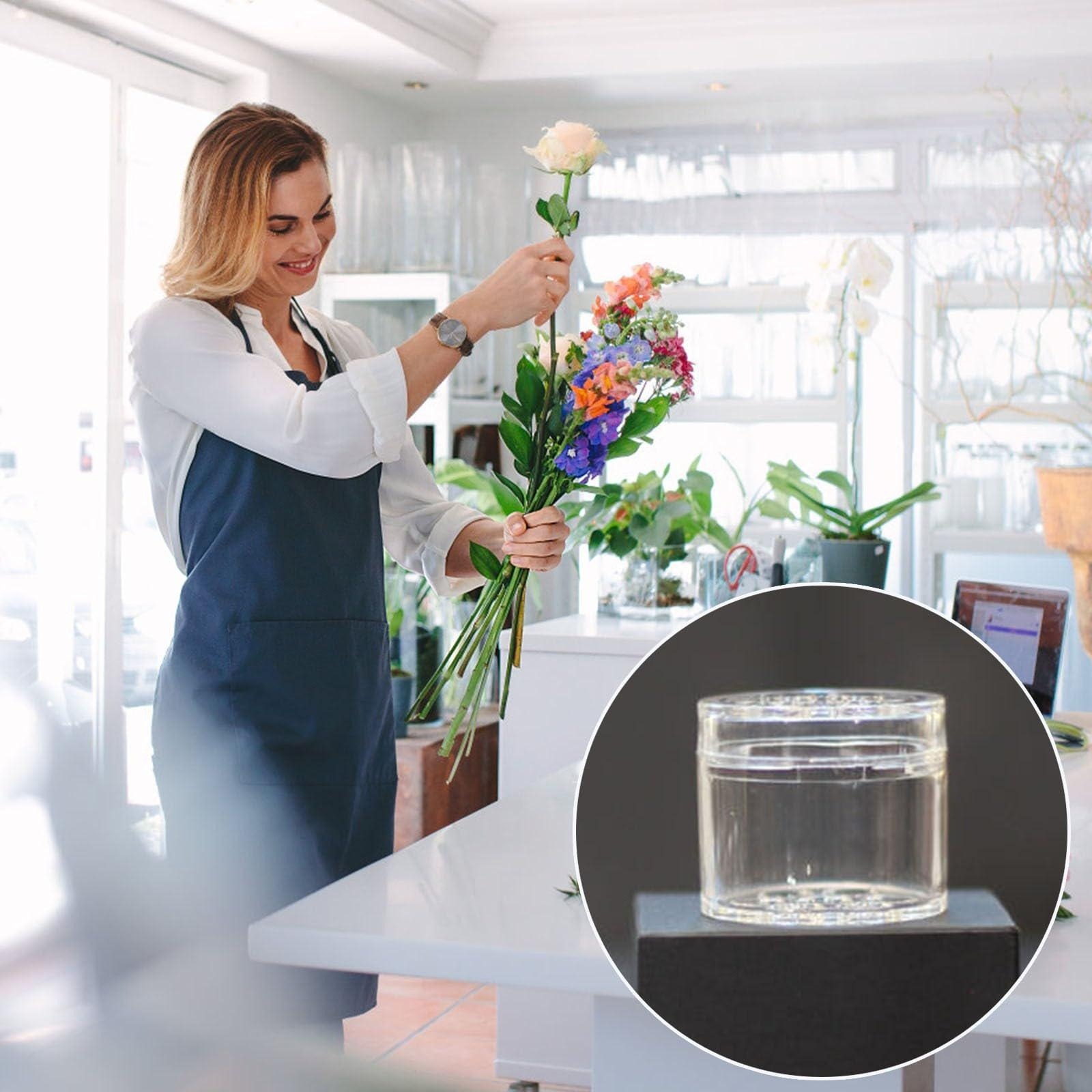 Supporto a spirale per steli I - Ikebana Vase Kenzan recensione e prezzo