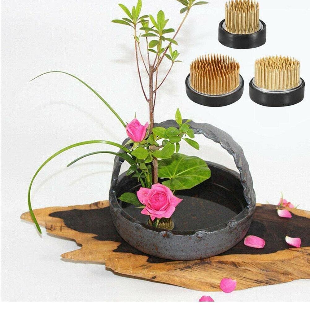 Rana fiore Ikebana rotonda con - Ikebana Vase Kenzan recensione e prezzo