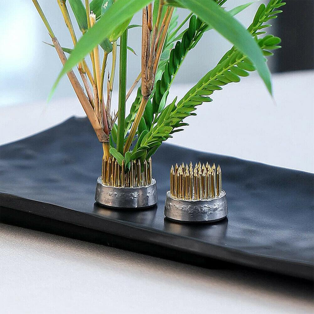 Rana fiore Ikebana rotonda con - Ikebana Vase Kenzan recensione e prezzo
