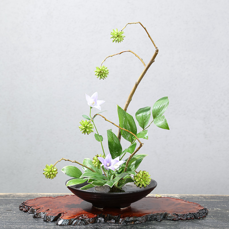 Giapponese rana vaso Bouquet d - Ikebana Vase Kenzan recensione e prezzo