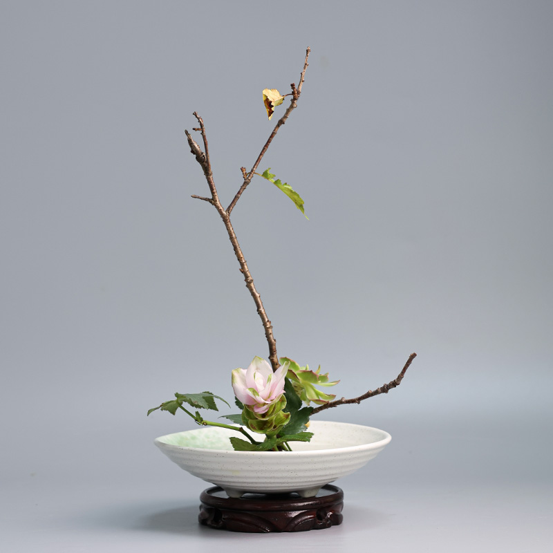 Giapponese rana vaso Bouquet d - Ikebana Vase Kenzan recensione e prezzo