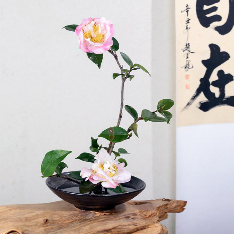 Giapponese rana vaso Bouquet d - Ikebana Vase Kenzan recensione e prezzo